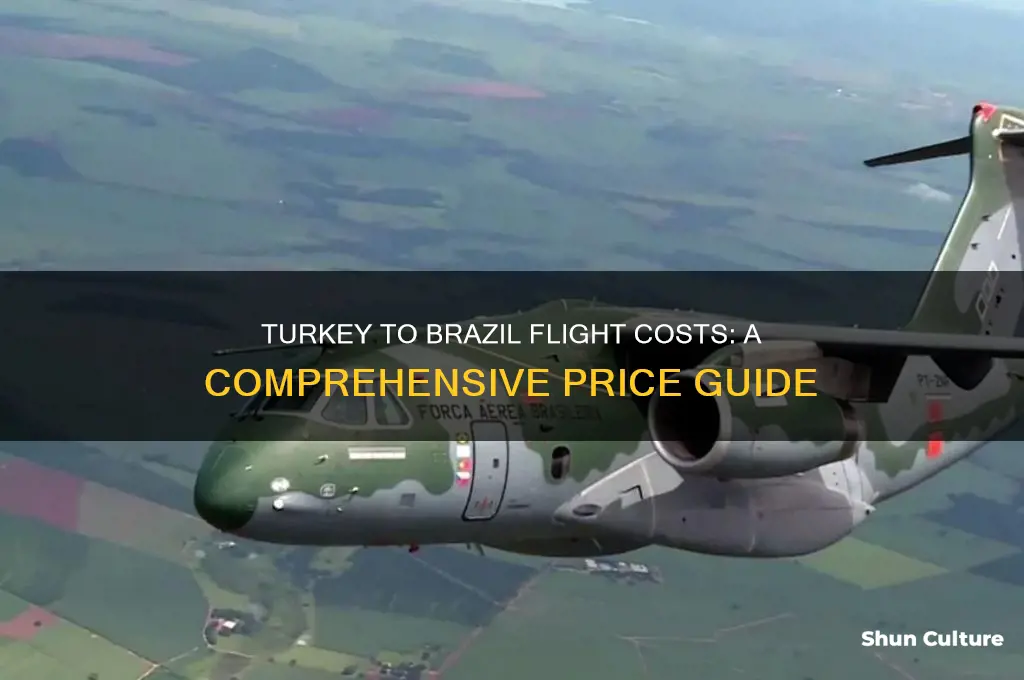 how much is flight ticket from turkey to brazil