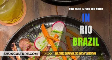 Exploring Rio's Costs: Food and Water Prices in Brazil