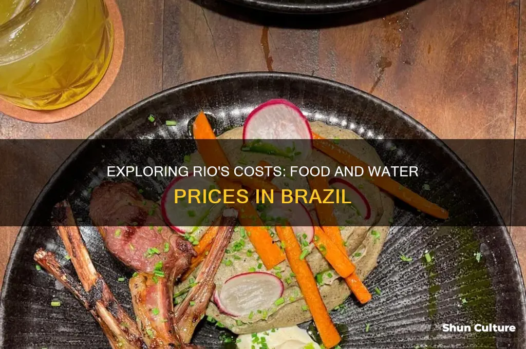 how much is food and water in rio brazil