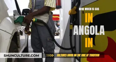 Gas Prices in Angola: A Costly Affair