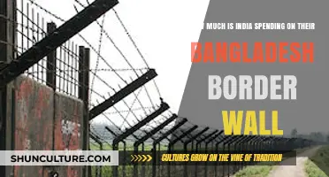 India's Bangladesh Border Wall: Costs and Implications Revealed