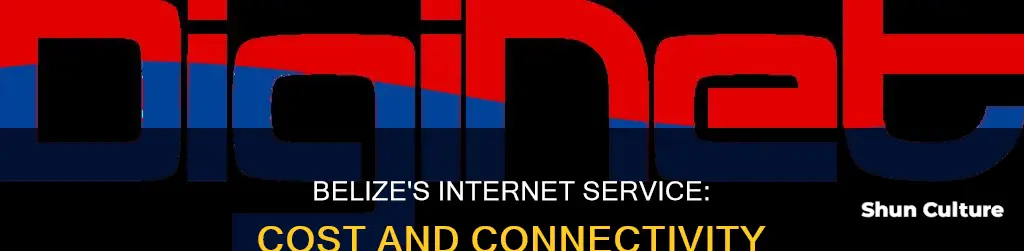 how much is internet service in belize