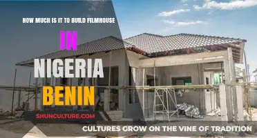 Constructing Dreams: The Cost of Building a Filmhouse in Nigeria and Benin