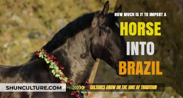 Importing Horses to Brazil: Costs and Considerations for Equine Enthusiasts