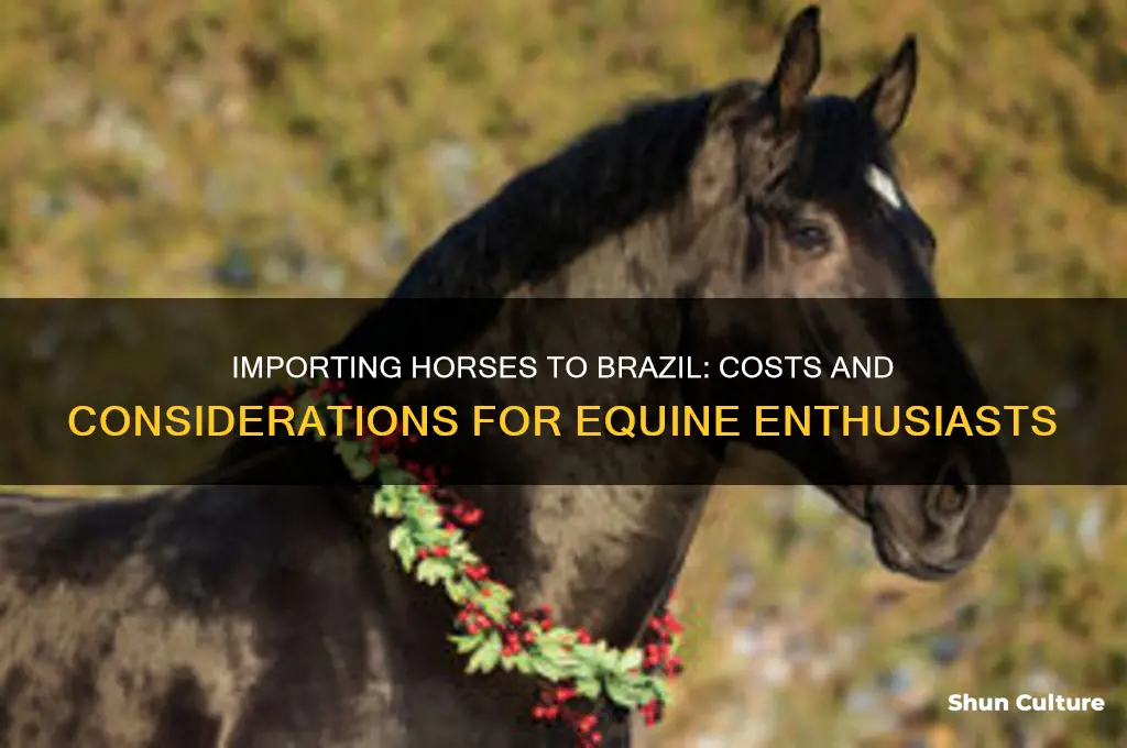 how much is it to import a horse into brazil