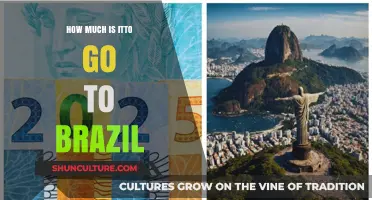 Exploring Brazil: Costs, Budget Tips, and Travel Expenses Revealed