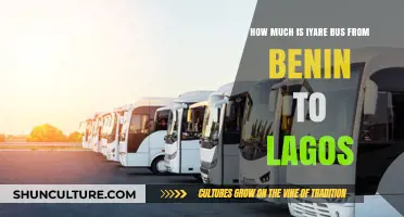 Exploring the Cost of Iyare Bus Trips from Benin to Lagos