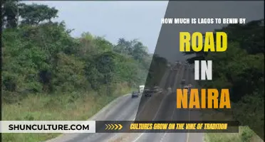 Lagos to Benin Road Trip: Cost Breakdown in Naira