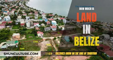 Belize Land: A Guide to Property Prices