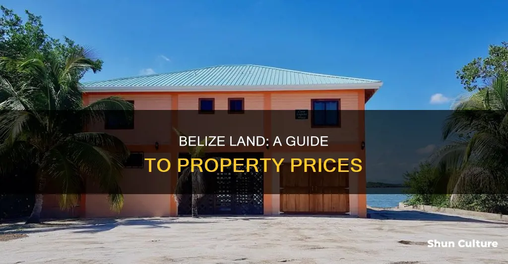 how much is land in belize