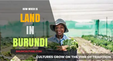 Exploring Burundi's Real Estate Market: A Guide to Land Prices