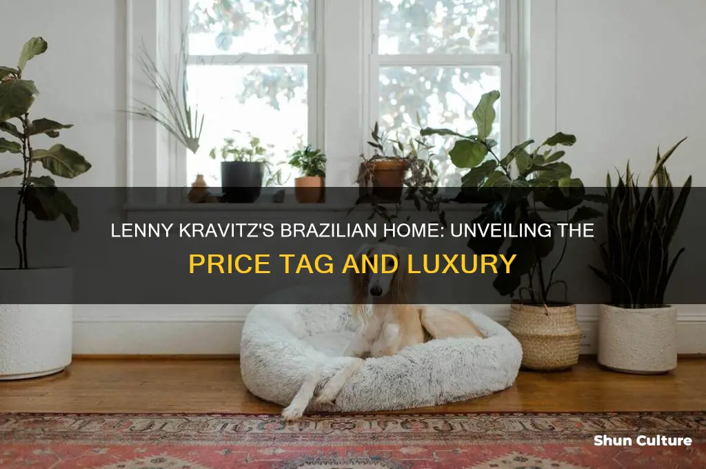 how much is lenny kravitz home in brazil