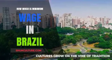 Brazil's Minimum Wage: Understanding the Current Rates and Impact