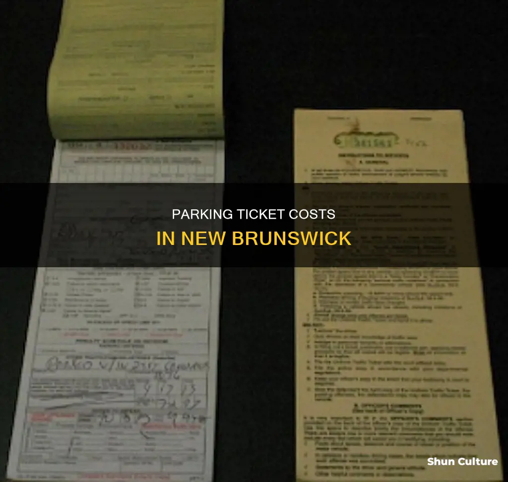 how much is new brunswick parking ticket