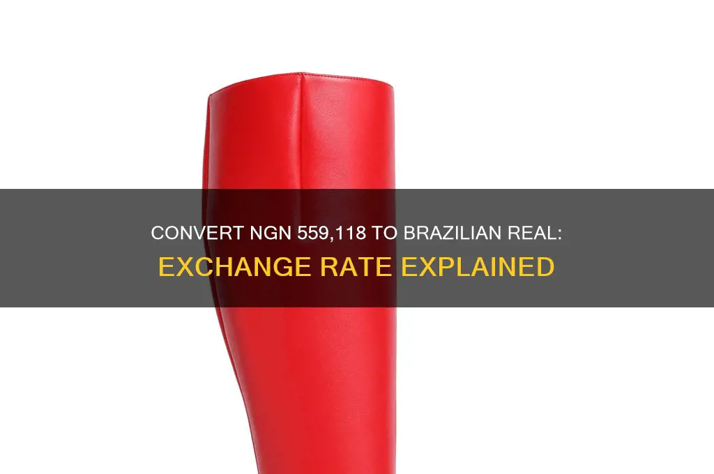 how much is ngn 559 118 in brazil real