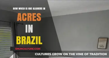 Understanding Brazil's Alquiere: Converting to Acres for Land Measurement