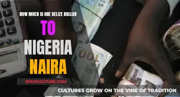 Belize Dollar to Nigerian Naira: Understanding the Exchange Rate