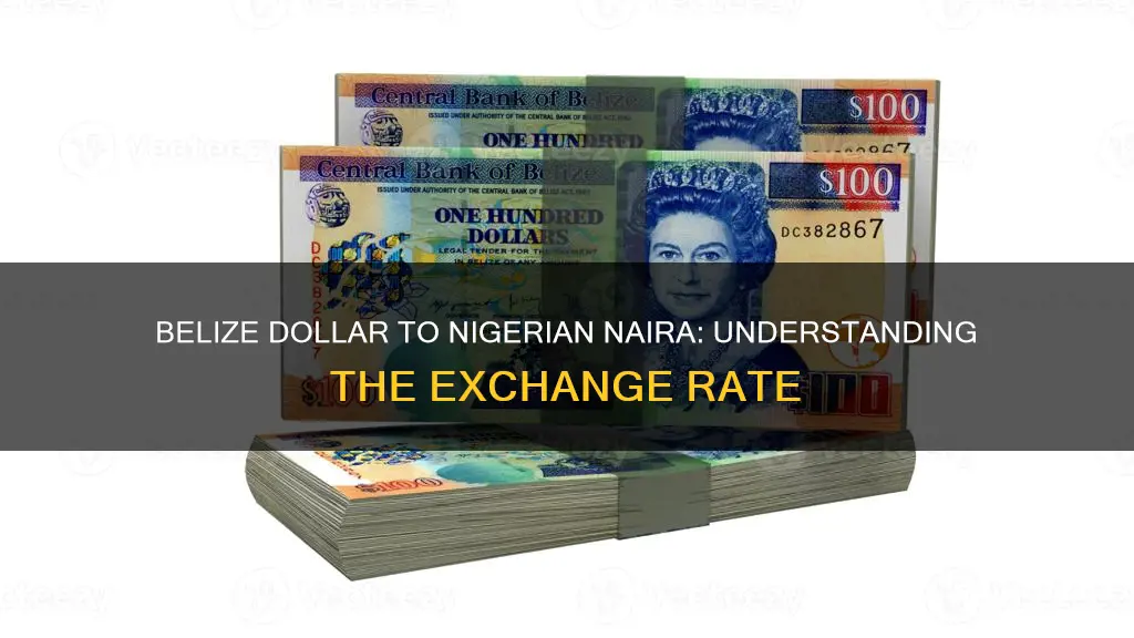 how much is one belize dollar to nigeria naira