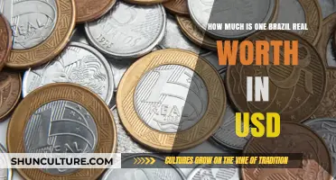 Current Exchange Rate: Brazilian Real to USD Value Explained