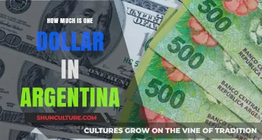 Understanding the Value of One Dollar in Argentina Today