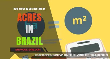 Converting Hectares to Acres in Brazil: A Simple Guide