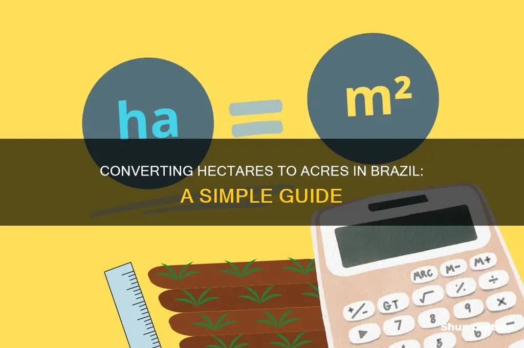 how much is one hectare in acres in brazil