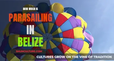 Parasailing Paradise: Exploring Belize's Aerial Adventures