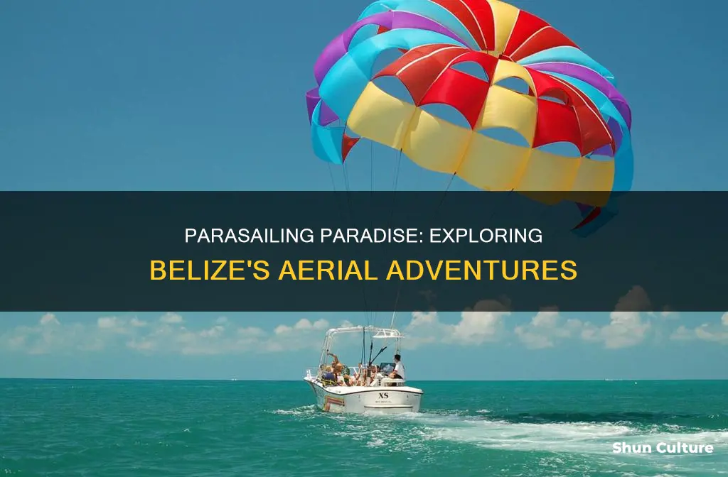 how much is parasailing in belize