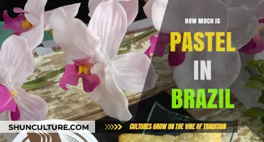 Exploring Pastel Prices in Brazil: A Tasty Snack's Cost Breakdown