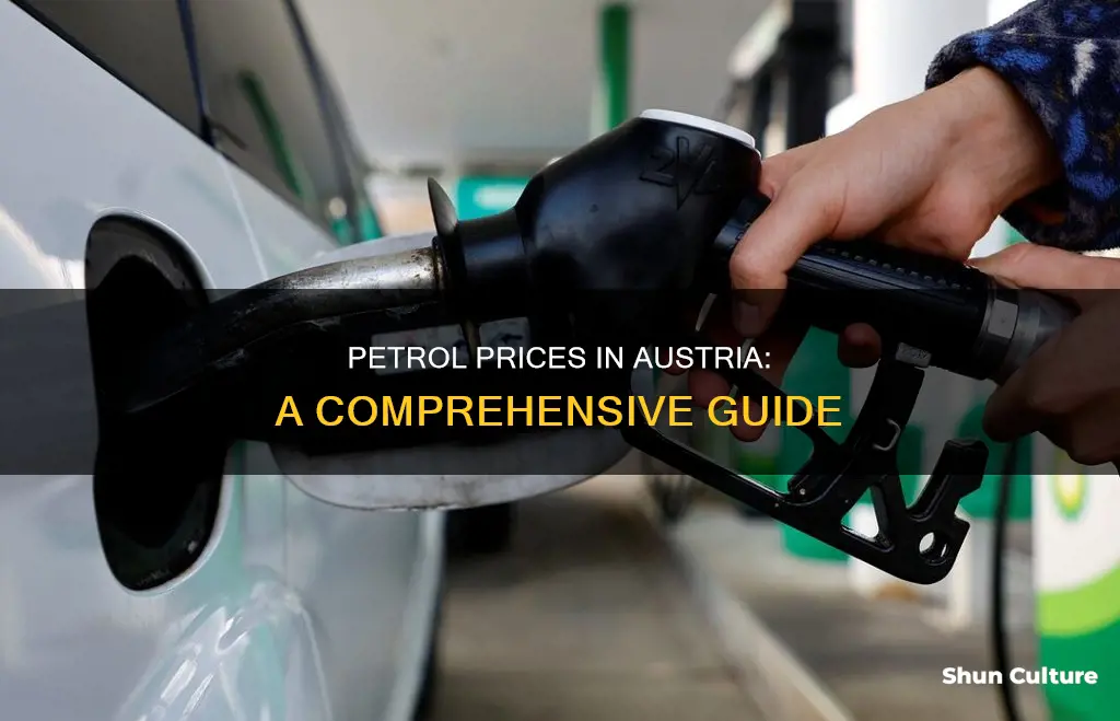 how much is petrol in austria