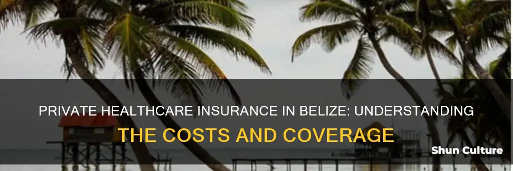 how much is private healthcare insurance belize