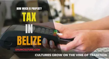 Property Taxes in Belize: A Comprehensive Guide