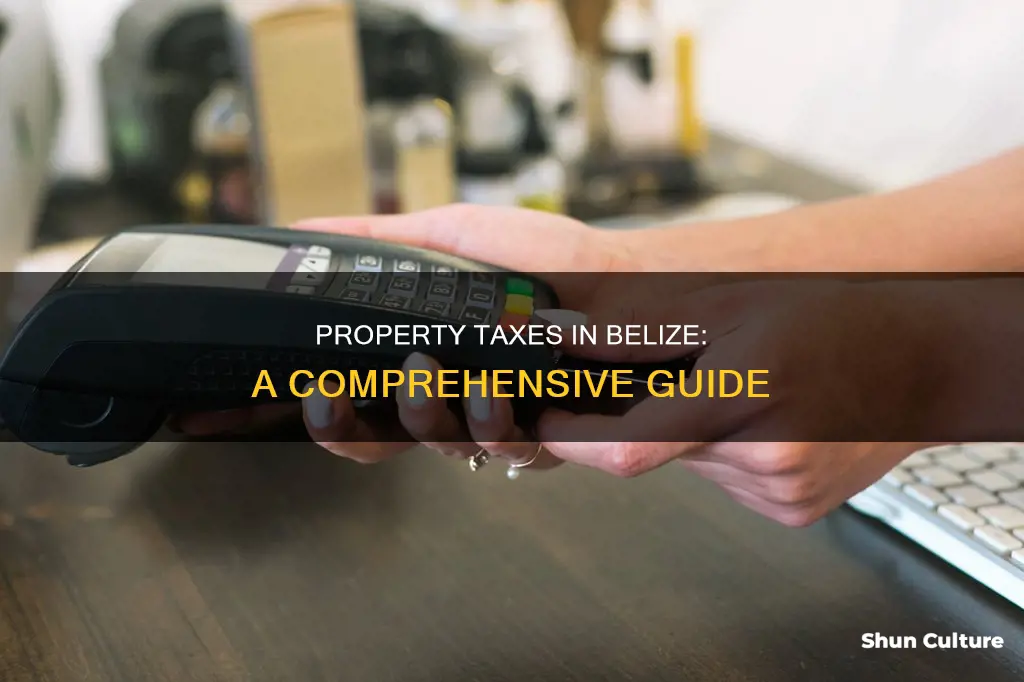 how much is property tax in belize