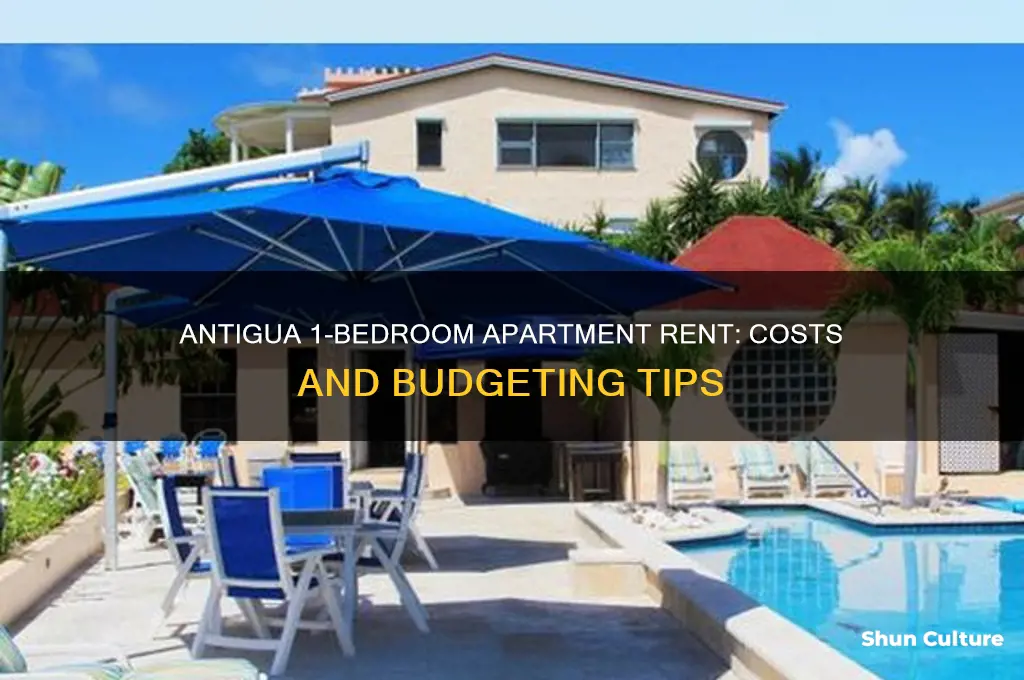 how much is rent for a 1 bedroom apartment antigua