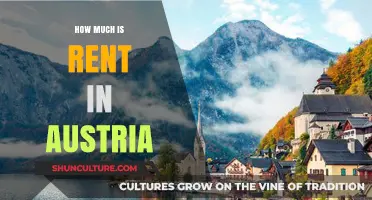 A Comprehensive Guide to Rent Prices in Austria