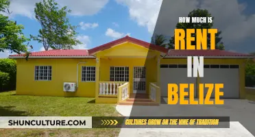 Exploring the Cost of Renting in Belize