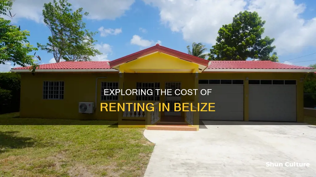 how much is rent in belize