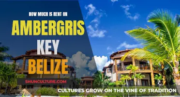 Renting on Ambergris Caye: A Guide to Costs and Living