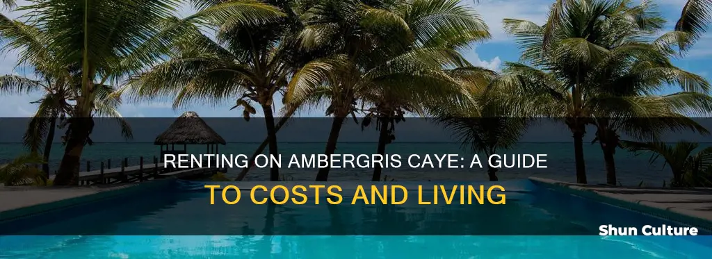 how much is rent on ambergris key belize