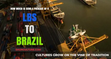 Shipping Costs: Sending a 5-Lb Package to Brazil Explained