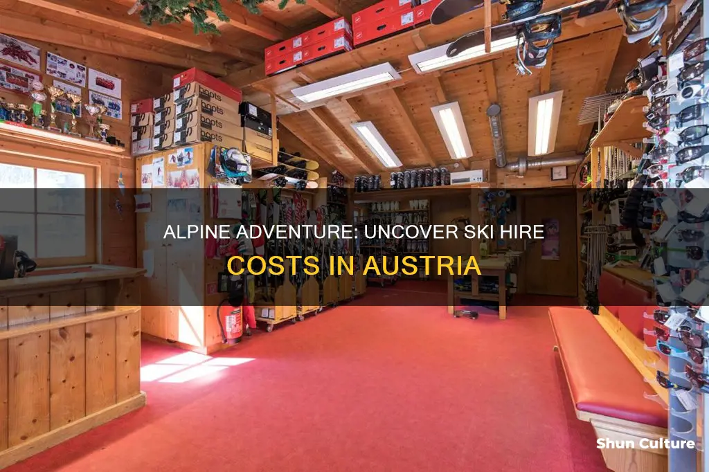 how much is ski hire in austria