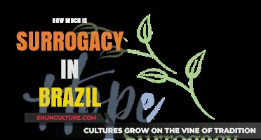 Surrogacy Costs in Brazil: A Comprehensive Guide to Expenses