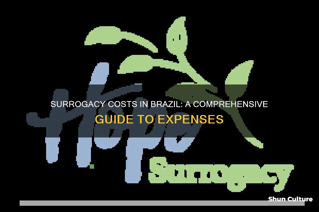 how much is surrogacy in brazil
