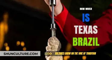 Texas vs. Brazil: Comparing the Cost of Living and Economic Differences
