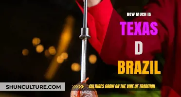 Texas de Brazil Cost: Unveiling the Price of a Premium Dining Experience
