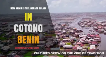 Exploring the Average Salary in Cotonou, Benin: A Comprehensive Guide