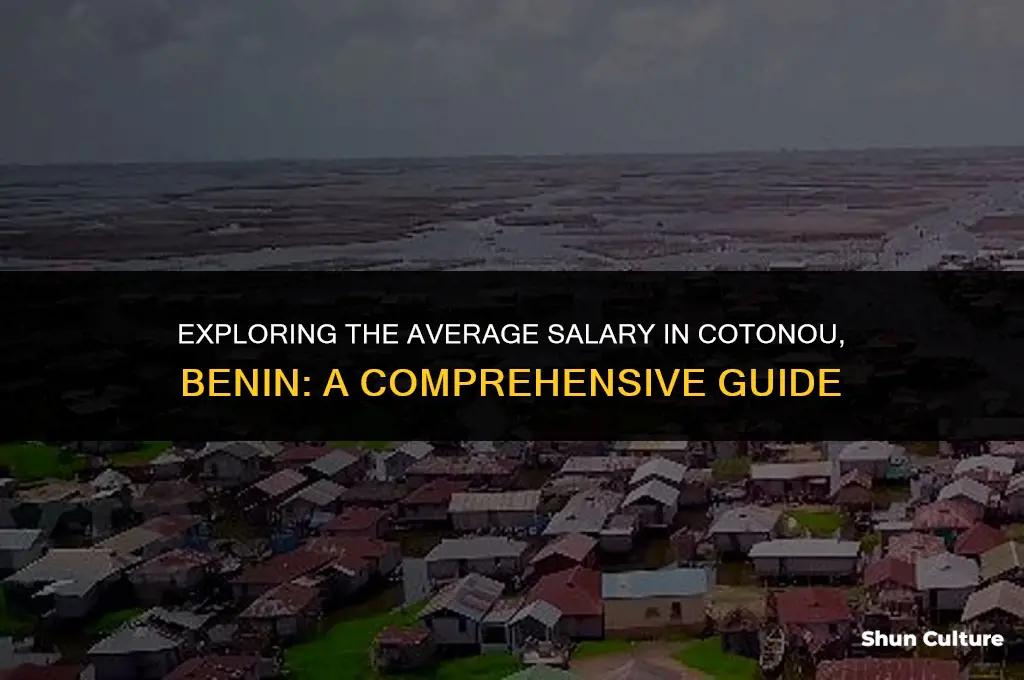how much is the average salary in cotono benin