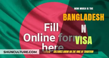 Bangladesh N Visa Cost: Fees, Requirements, and Application Guide