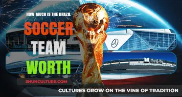 Brazil Soccer Team's Valuation: Unveiling the Financial Powerhouse