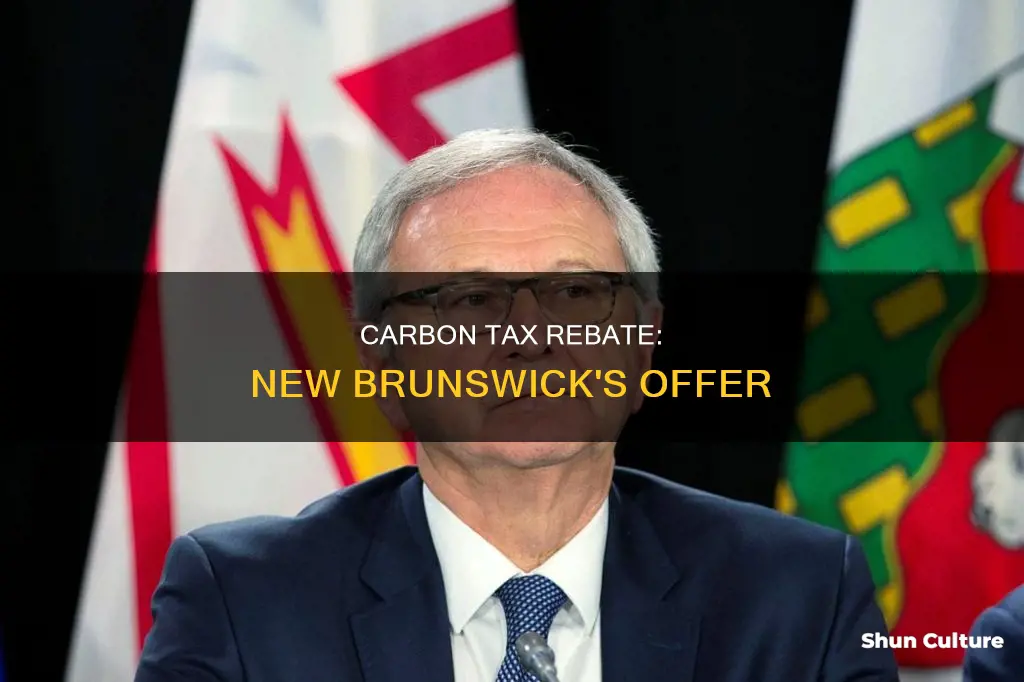 how much is the carbon tax rebate in new brunswick